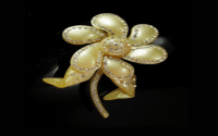 Pictures of Brooches: Check Out These Beautiful Brooch Designs!