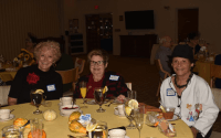 Who is Phyllis Pressman, and why is everyone talking about her?