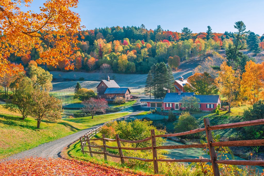 Koa Autumn Colors: Discover the Beauty of Fall Foliage!