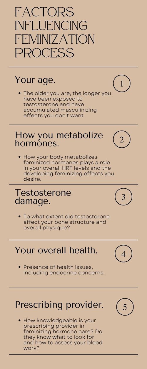 Hot Trans: Everything You Need to Know (Simple Guide for Beginners)
