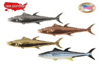 Fish Brooch Pin: Where to Buy Them and How to Wear Them Correctly.