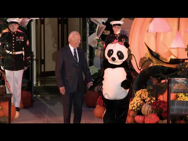 jill biden panda diplomacy: How the First Lady Uses Pandas for Good