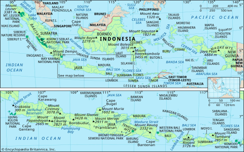 The Polo Indonesia: A Look into Their Best-Selling Items