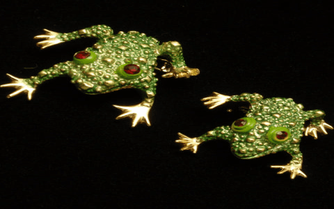 Frog Brooch: Which Type Is Right for You? Learn about different materials and styles!