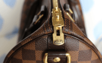 Is the Speedy 30 Worth the Hype? A Review of the Iconic Louis Vuitton Speedy 30 Handbag, Read Before Buy.