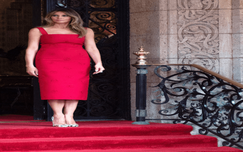 Melania Trump Dress Today: Find Out Where to Buy It!