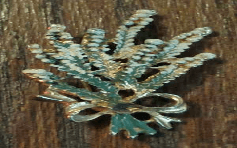 Brochet Jewelry Review: Is It Worth It for the Price? Find Out Here
